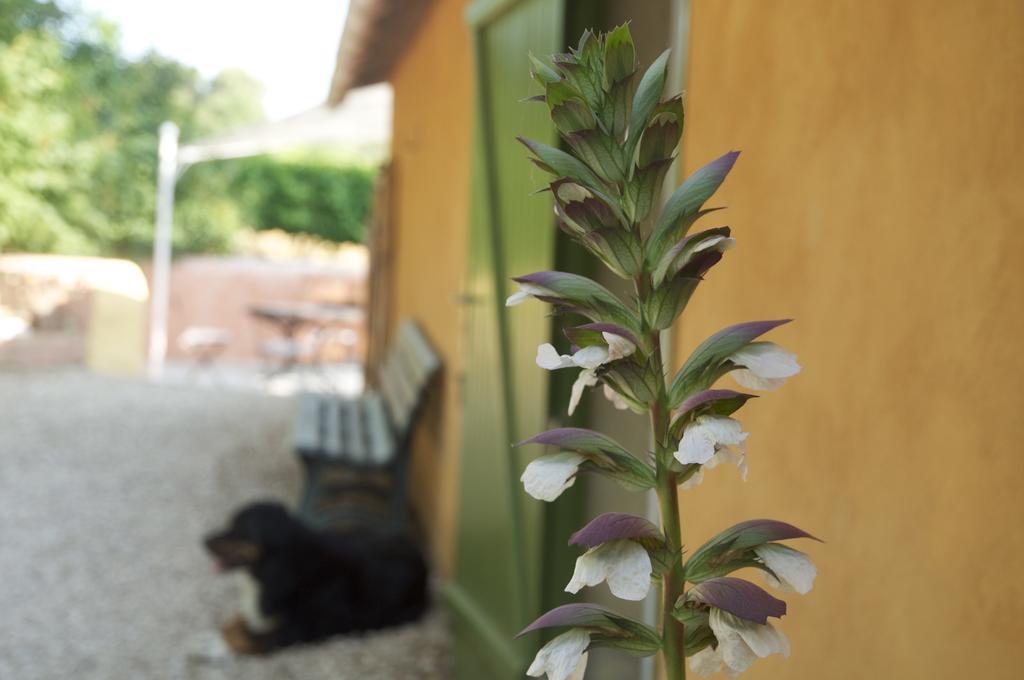 Le Petit Bacalan Villa Mormoiron Rom bilde