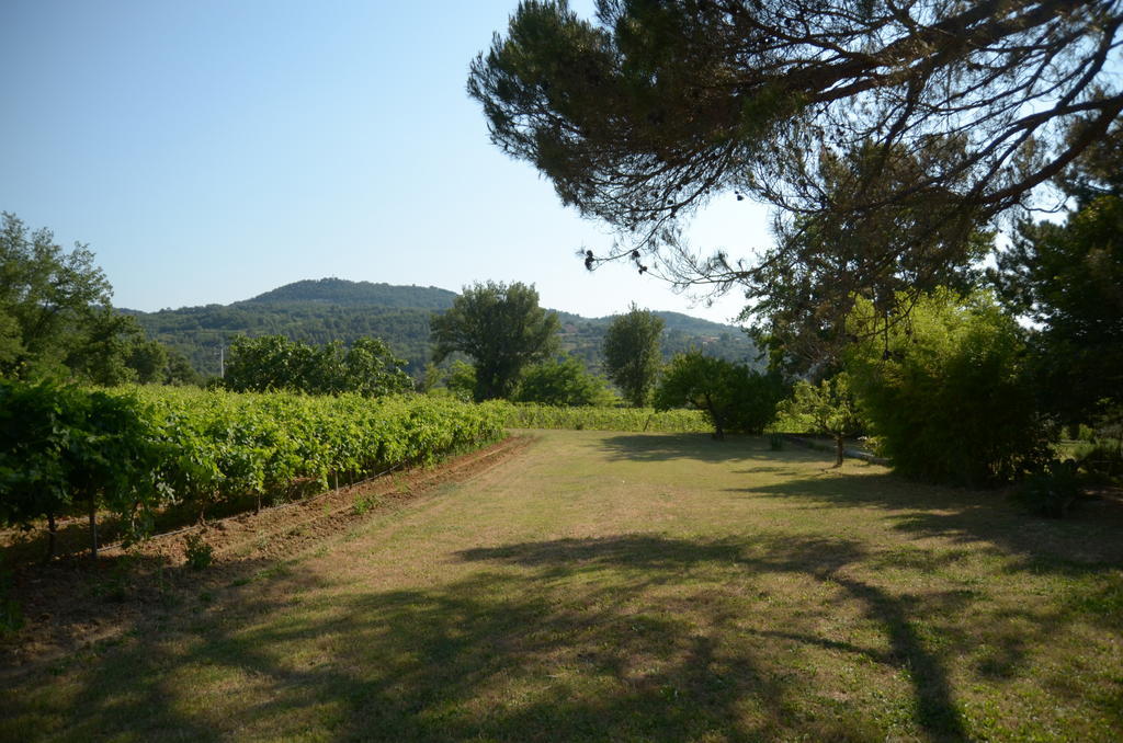 Le Petit Bacalan Villa Mormoiron Rom bilde