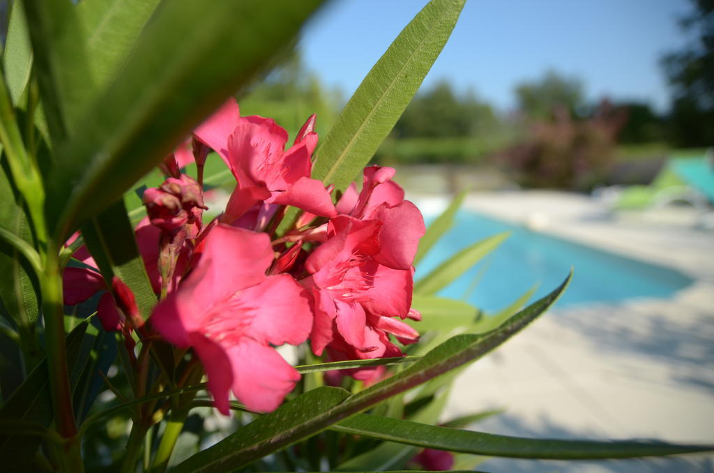 Le Petit Bacalan Villa Mormoiron Rom bilde