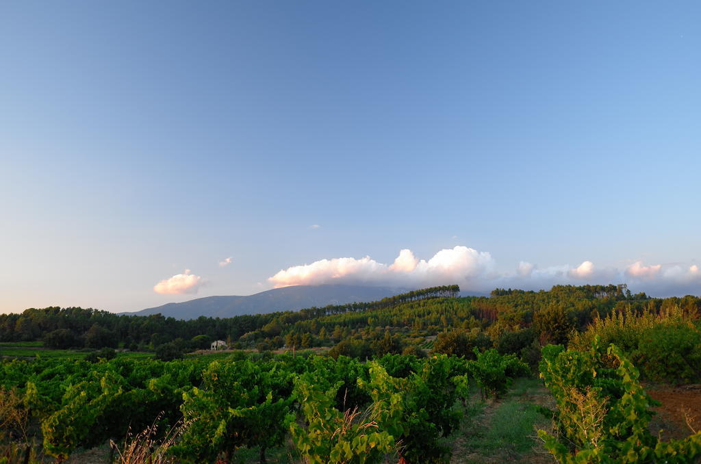 Le Petit Bacalan Villa Mormoiron Rom bilde